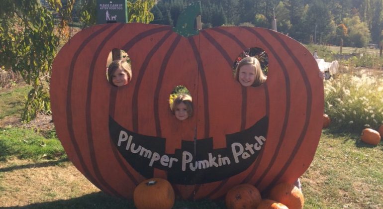 Portland Metro: Plumper Pumpkin Patch